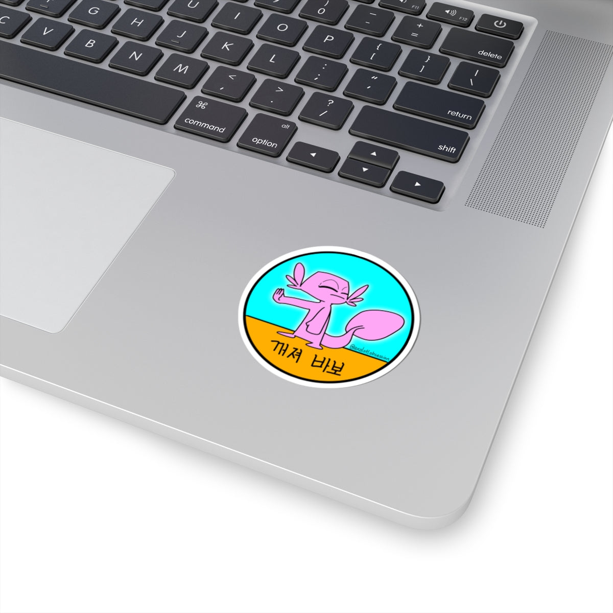 Korean "Get Lost, Dummy" Pink Axolotl Sticker — Cute Sassy Laptop Kiss-Cut